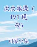 次次挨操（1V1 现代）
