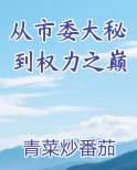 从市委大秘到权力之巅笔趣阁