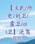 汉武大帝刘卫