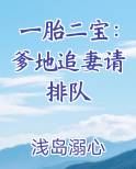 一胎二宝：爹地追妻请排队