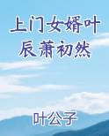 上门女婿叶辰萧初然