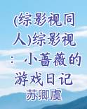 综影视剧小说