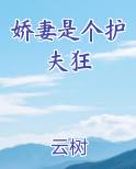 娇妻是个护夫狂