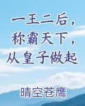 一王二后，称霸天下，从皇子做起