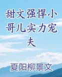 甜文强悍小哥儿实力宠夫