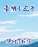 崇祯十五年